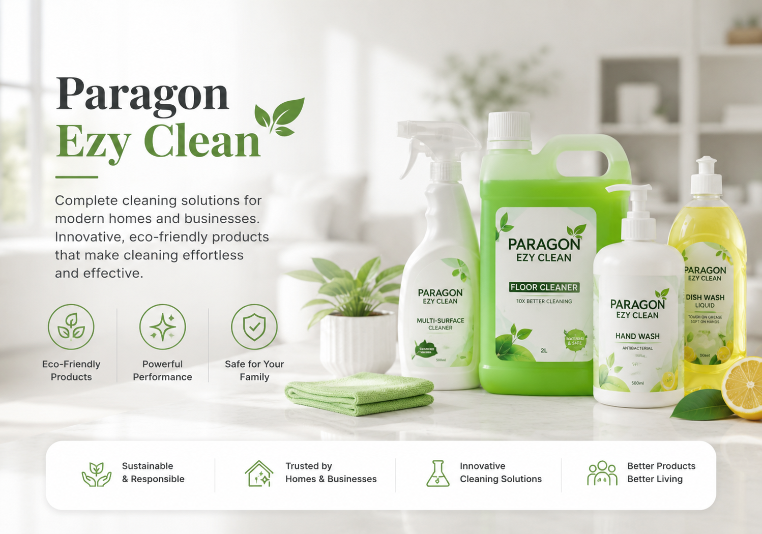 Paragon Ezy Clean - Complete Cleaning Solutions